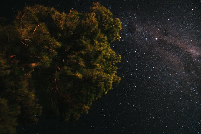 Night sky over the rainforest