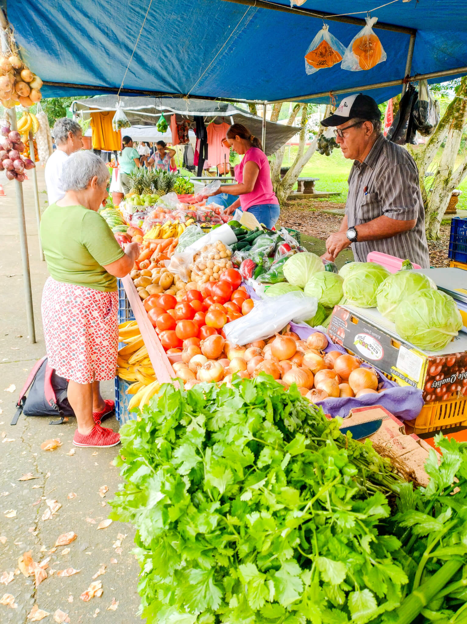 Visit the Local Farmer’s Market