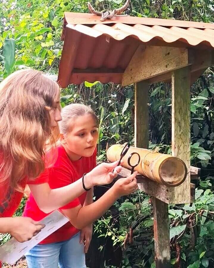 Stingless Mariolas Bee Tour (Family Friendly)