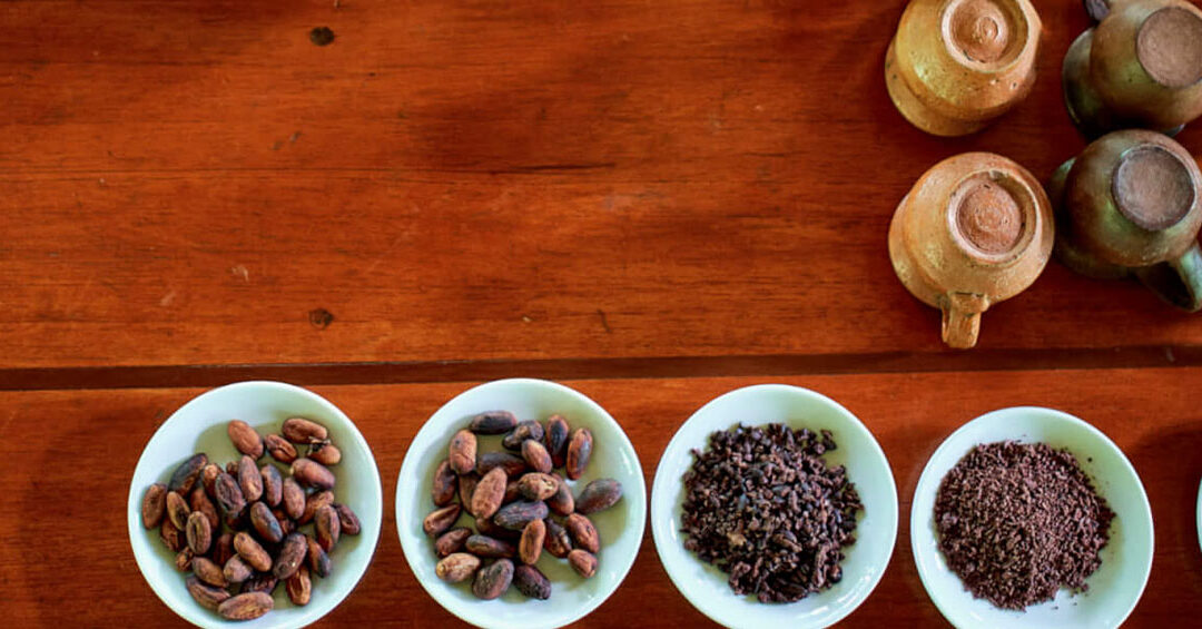 Chocolate Workshop: From Fruit to Bar!