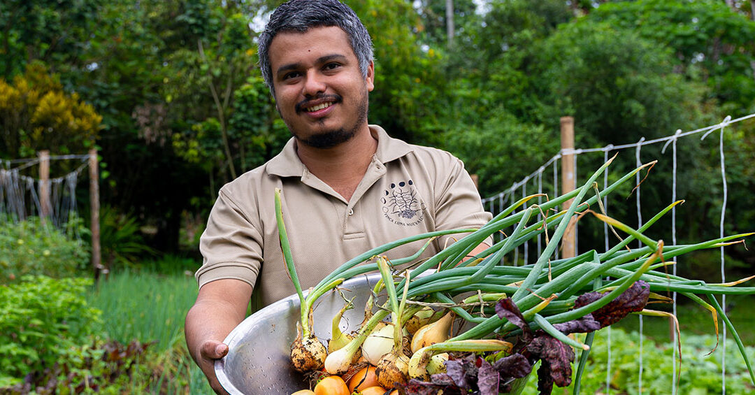 Farm to Table Experience