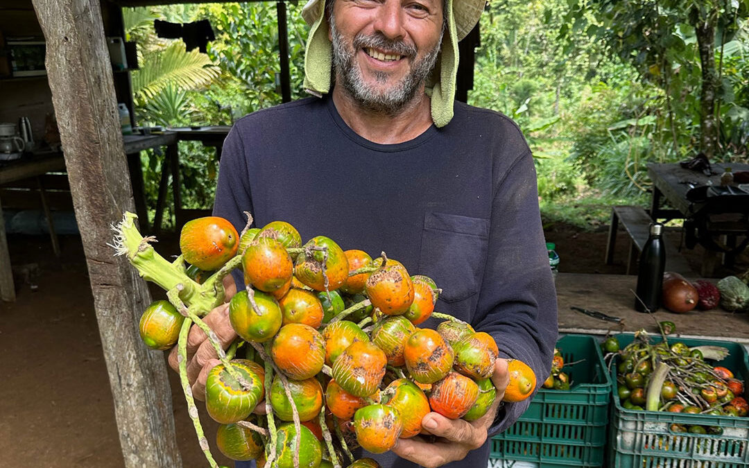 The Tree That Survived the Conquistadors