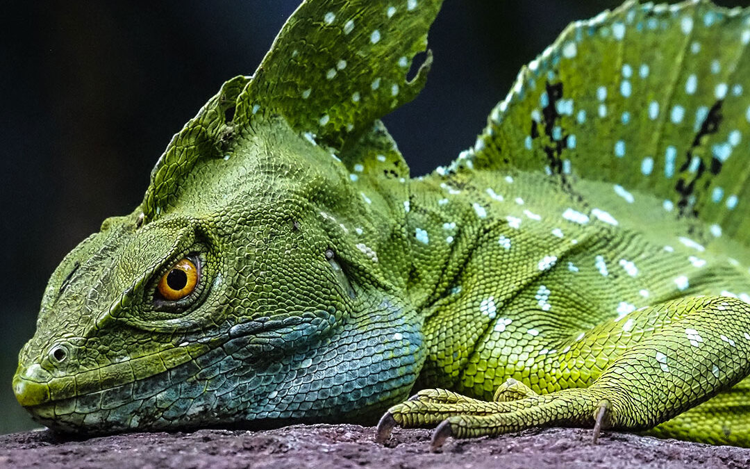 You Lookin’ at Me?